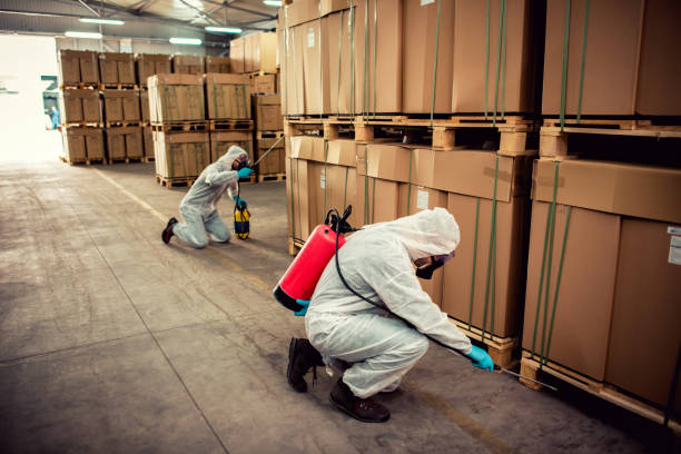 Best Flea Control Services  in Hollywood Park, TX