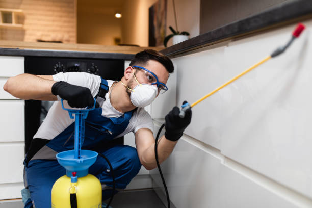 Best Affordable Pest Control Services  in Hollywood Park, TX