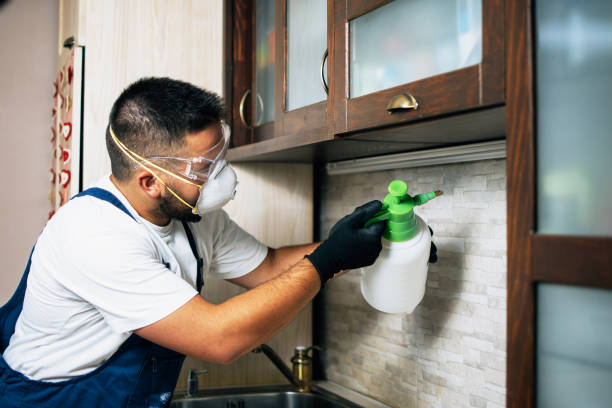 Best Pest Removal Services  in Hollywood Park, TX