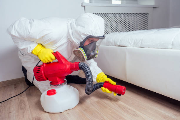 Trusted Hollywood Park, TX Pest Control Experts