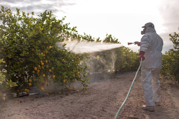 Best Pest Inspection Near Me  in Hollywood Park, TX