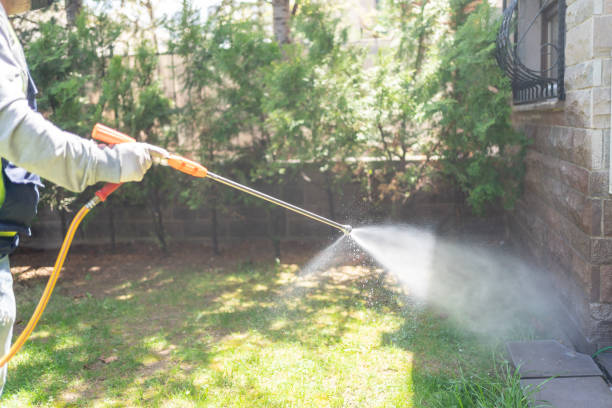 Best Pest Control for Homes  in Hollywood Park, TX