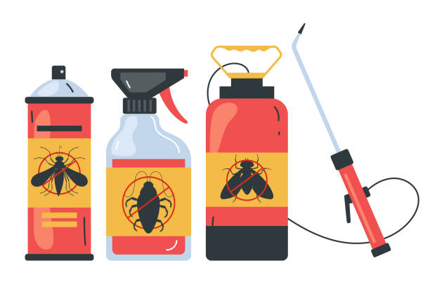 Best Affordable Pest Control Services  in Hollywood Park, TX
