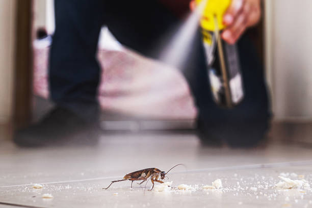 Best Exterminator Services  in Hollywood Park, TX