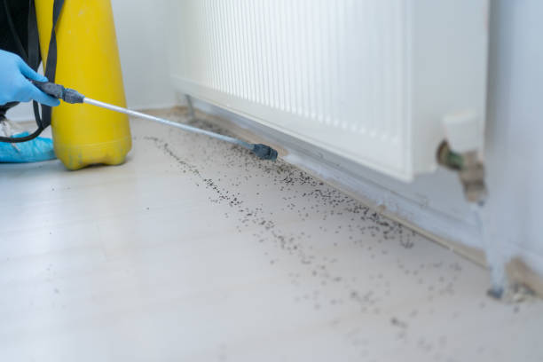 Best Best Pest Control Companies  in Hollywood Park, TX