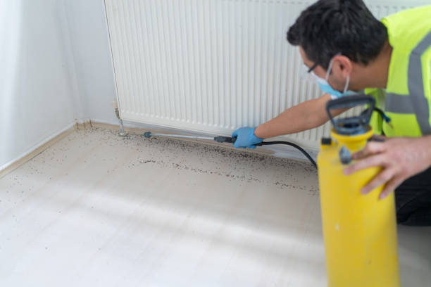 Best Commercial Pest Control Services  in Hollywood Park, TX